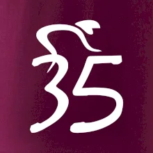 Cyklista oslavuje tridsaťpäťku (35)