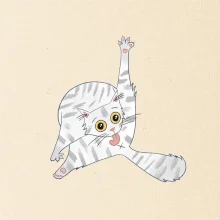 Mačka čistotná (studio-arte.cz)