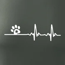 Veterinár EKG