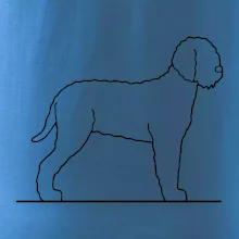 Lagotto romagnolo stojaci