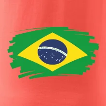 Brazília vlajka štetkou