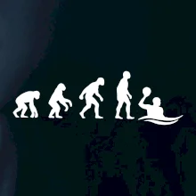 Evolúcia vodné pólo