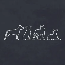 Americký stafordšírsky teriér v rôznych pozíciách