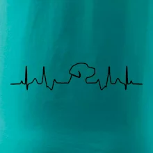 Labradorský retriever‎ EKG
