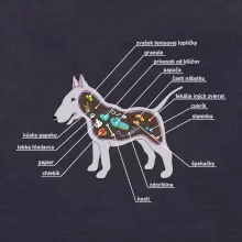 Tajomstvo bulteriéra s popisom (Pecka Design)