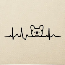 EKG Francúzsky buldoček hlava