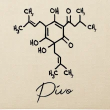 Barová chémia - pivo
