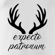Harry - Expecto patronum