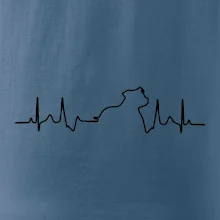 Stafordšírsky bulteriér ‎ EKG