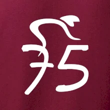 Cyklista oslavuje sedemdesiatpäťpäťky (75)