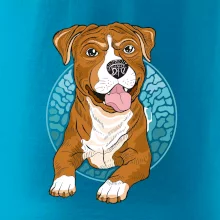 Americký staford kreslený v koliesku (Pecka design)