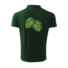 Monstera - dva listy