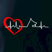 Nemecký ovčiak ekg