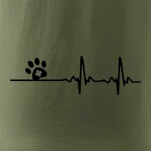 Veterinár EKG