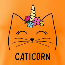 Caticorn Caticorn