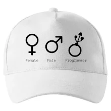 Female male programmer