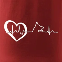 Nemecký ovčiak ekg