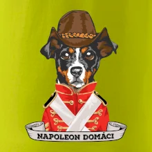 Napoleon domáci kríženec