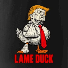 Donald Trump lame duck rytina