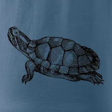 Ceruzkou kreslená korytnačka