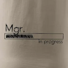 In progress titul Mgr. magister / magistra