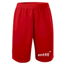 Dron evolúcia Dron evolúcia