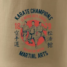 Karate Champions