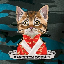 Napoleon domáci mačka