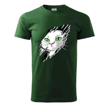 Kočka v roztrženém triku Kočka v roztrženém triku