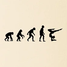 Evoluce yoga