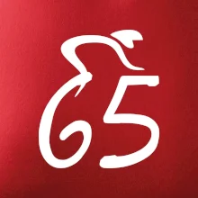 Cyklista oslavuje šesťdesiatpäťku (65)