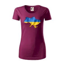 Ukrajina vlajka mapa