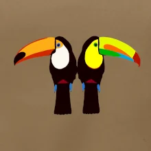 Dva barevní tukani (Moňas)