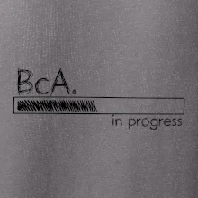 In progress titul BcA. bakalár / bakalárka umenia