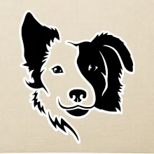 Border kólia obrys hlavy