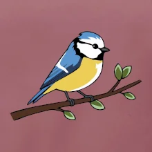 Sýkorka modrinka na vetve