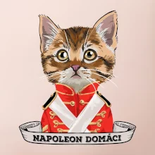 Napoleon domáci mačka