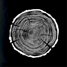 Letokruhy 100 bez veku Letokruhy 100 bez veku