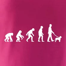 Lagotto romagnolo Evolúcia