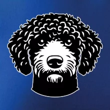 Lagotto romagnolo hlava na prsníku