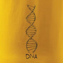Cyklistovo DNA