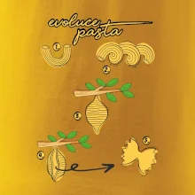 Evoluce pasta