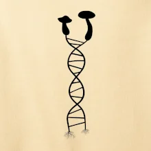 DNA huby