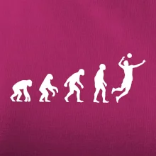 Evolúcia volejbal smeč