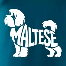 Maltézsky psík nápis v tele