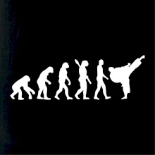 Karate Evolúcia - kop