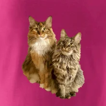 Mačky vectorizované (Moňas)