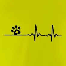 Veterinár EKG