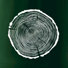 Letokruhy 85 bez veku