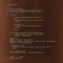 Python Prevodník mien